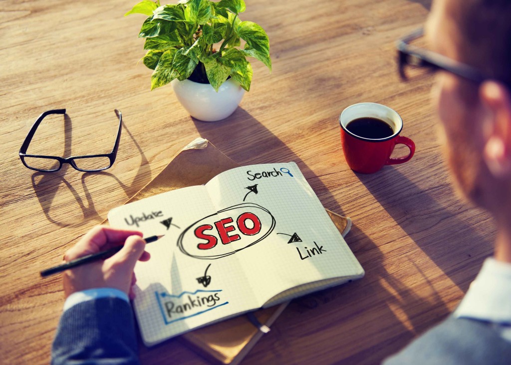 rank and organic traffic